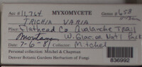 Image Associated With the Occurence